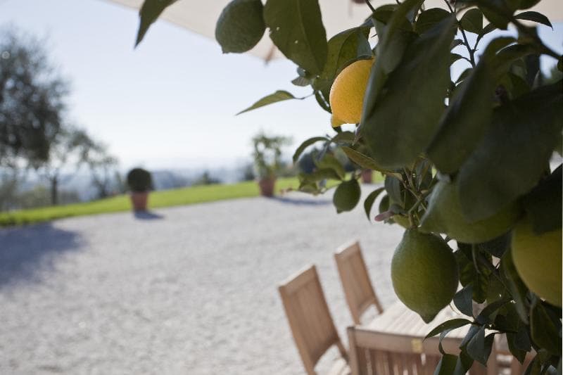 Relais Villa Belvedere - Main View
