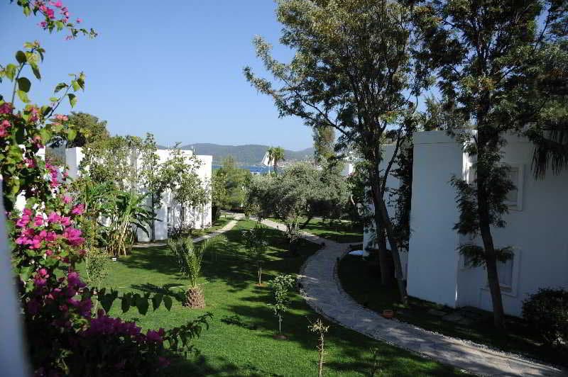 Mavi Suite Turkbuku image 2