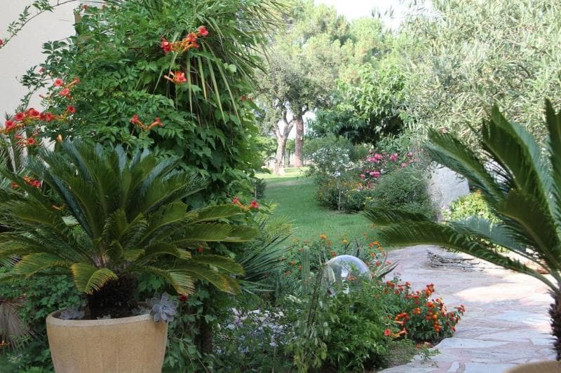 Isola Hotel image 1
