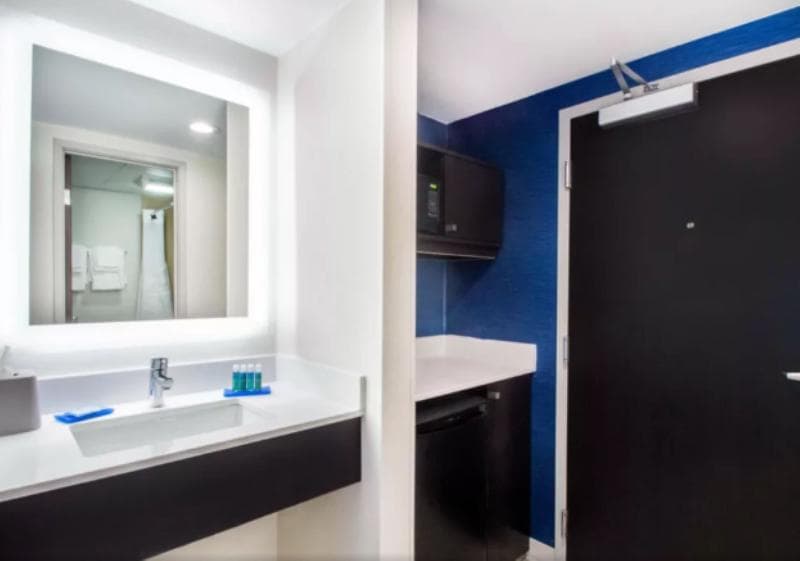 Holiday Inn Express & Suites Albany Airport - Wolf image 2