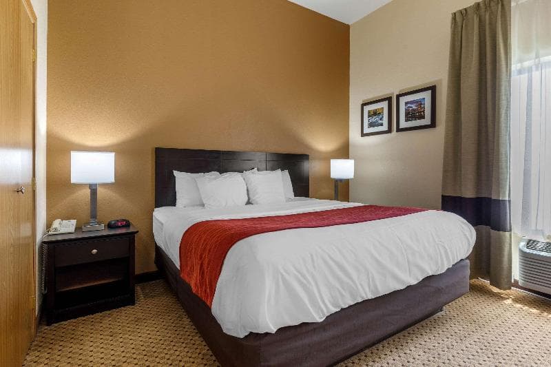 Comfort Suites image 2