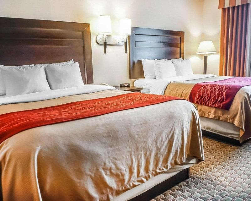 Stay at Quality Inn & Suites