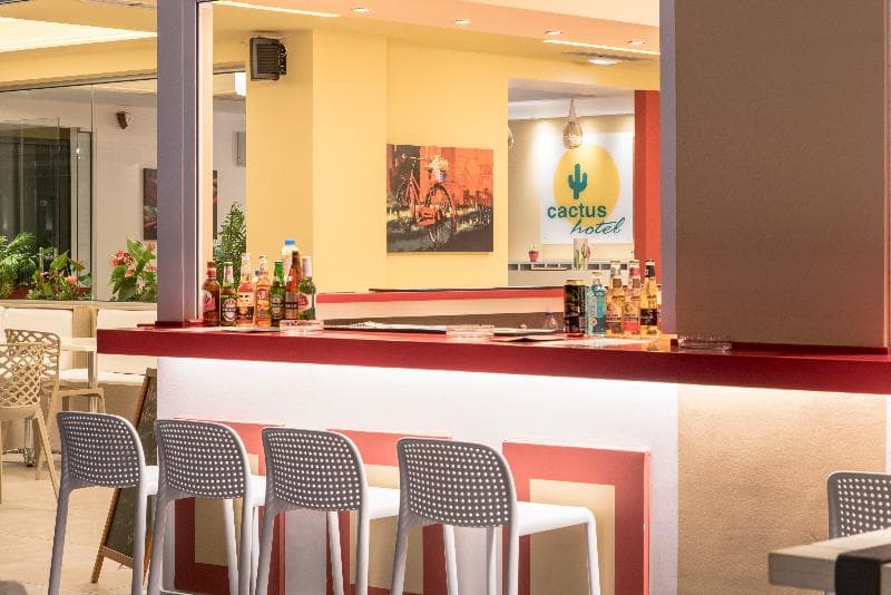Stay at Cactus