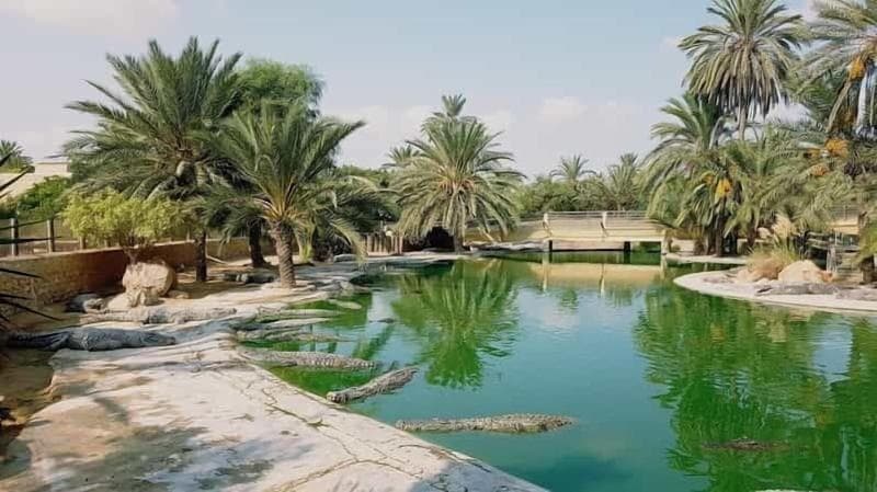 Djerba Golf Resort & Spa image 2