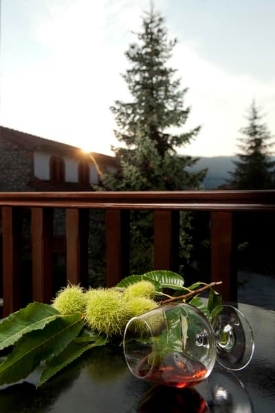 Fretzato Guesthouse image 1