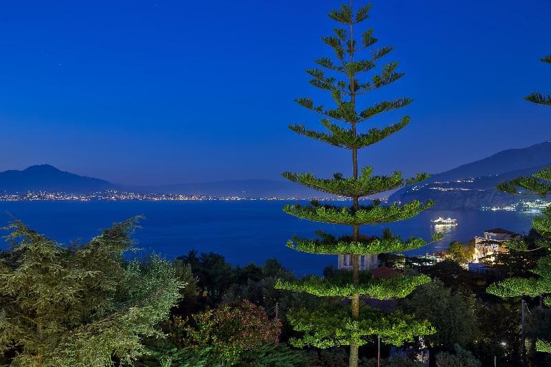 Grand Hotel Vesuvio image 2
