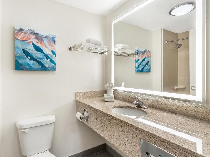 Best Western Plus Airport Inn & Suites image 2