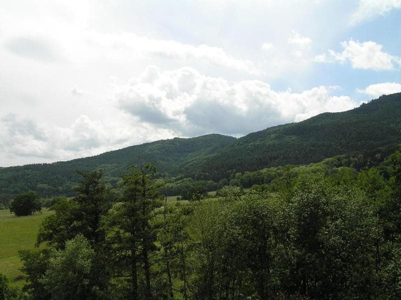 Stay at A l'Arbre Vert