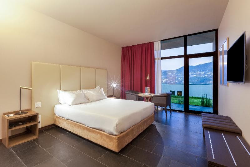 Douro Palace Hotel Resort SPA image 1
