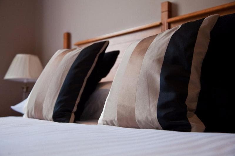 Stay at City Hotel
