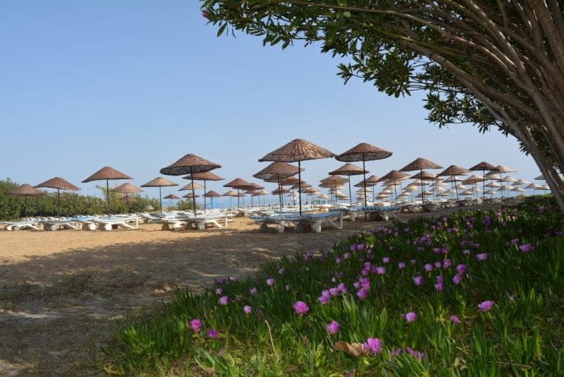 The Garden Beach Hotel image 2