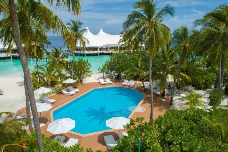 Safari Island image 2
