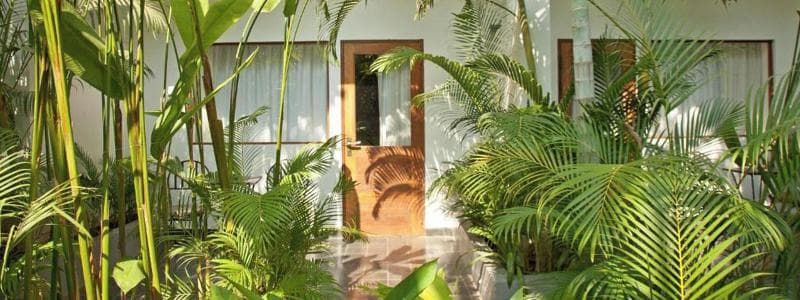 The Plantation Urban Resort and Spa image 2