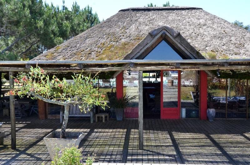 Casa Suaya Hotel image 2