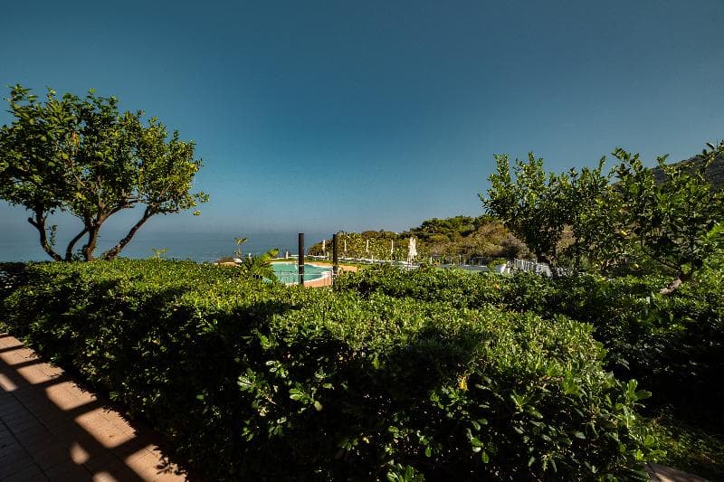 New Paradise image 1