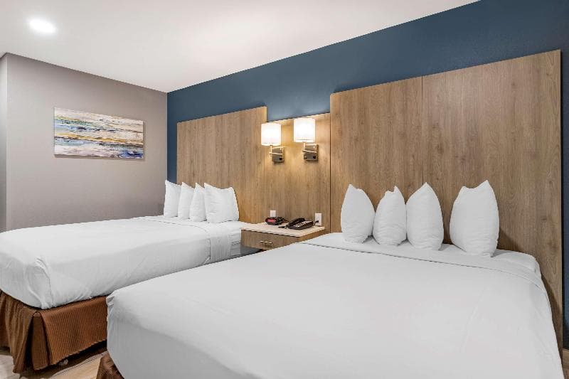 Stay at Best Western Plus Edinburg Inn & Suites