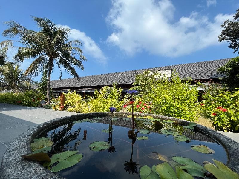The Barefoot Eco Hotel image 2