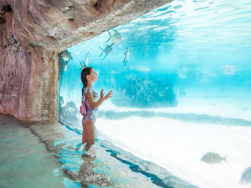 Grand Hyatt at Baha Mar image 2
