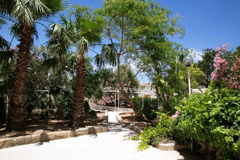 Beach Garden Hotel image 2