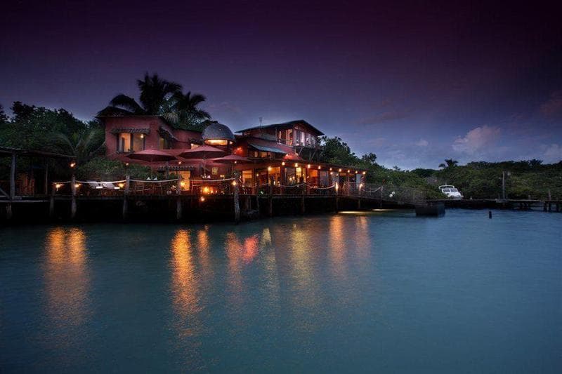 Red Mangrove Aventura Lodge image 1