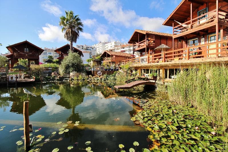 Villa Ana Margarida by Nature image 2