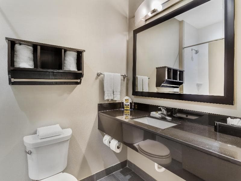 Best Western Plus Laredo Inn & Suites image 2