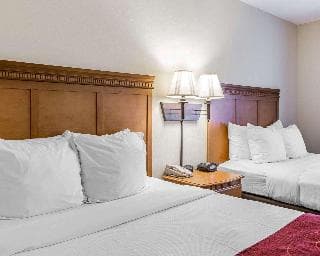 Stay at Comfort Suites