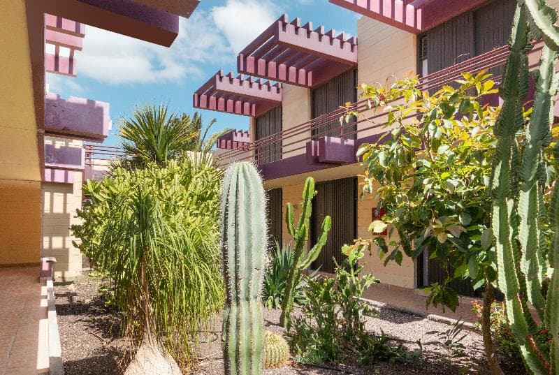 Hotel Palia Don Pedro image 7