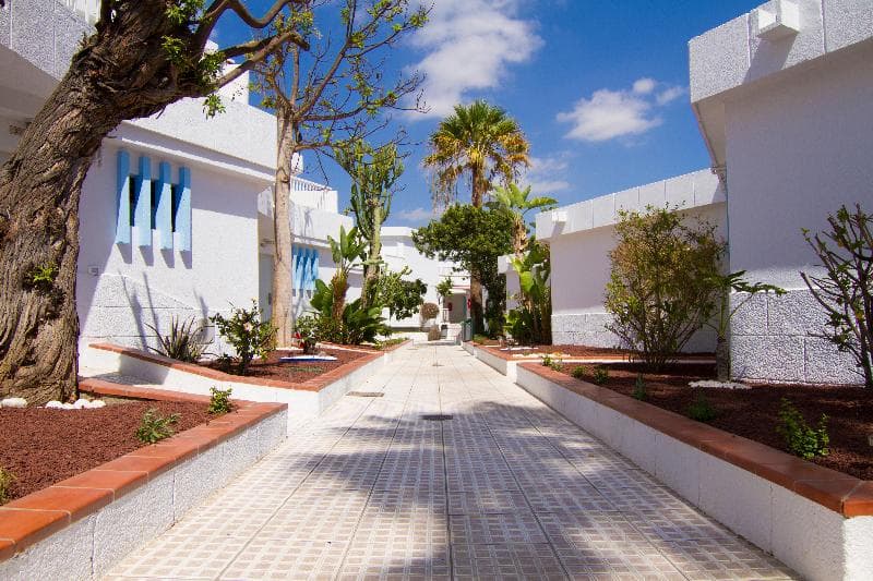 Checkin Bungalows Atlantida image 3