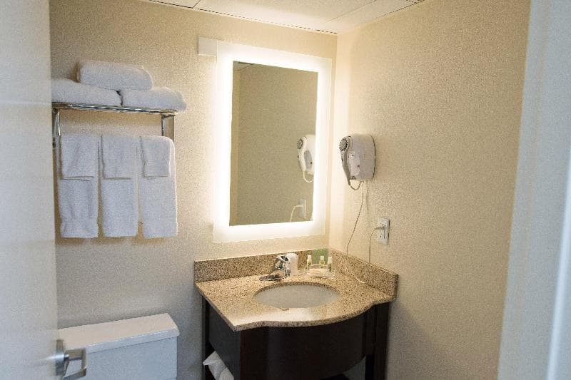 Holiday Inn Birmingham-Airport By IHG - Main View
