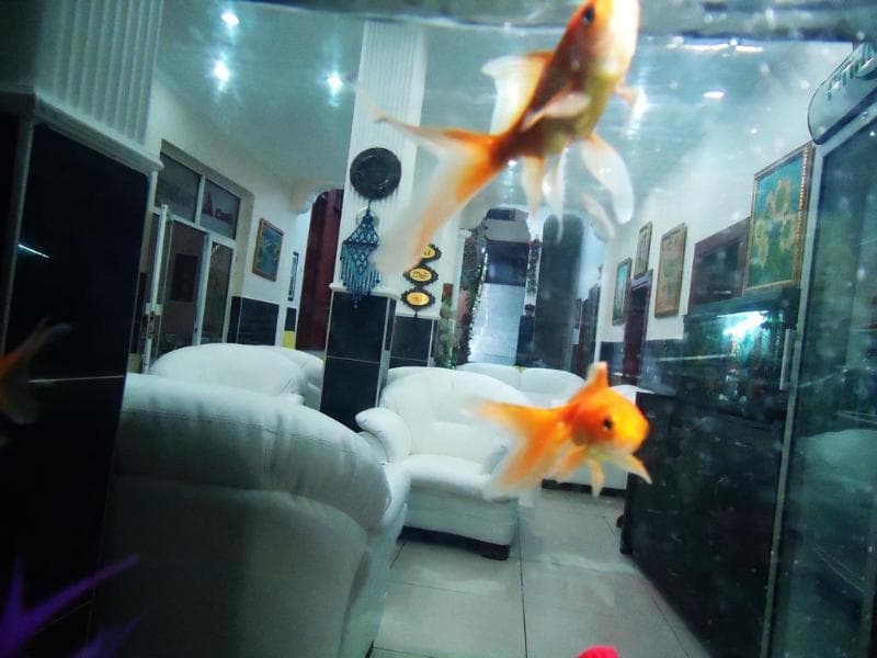 Stay at Vatan Hotel