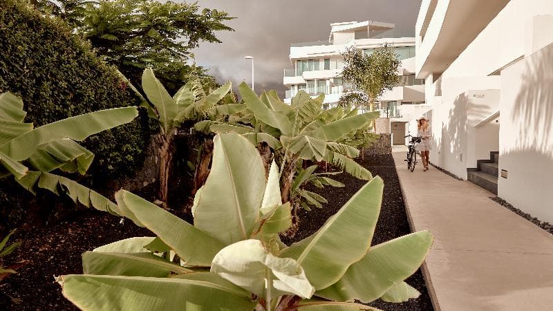 Hotel Baobab Suites image 6