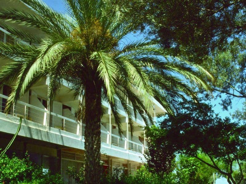 Marathon Beach Resort - Main View