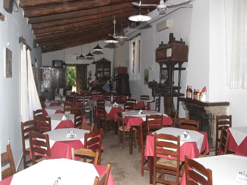 Oasis Guesthouse - Main View